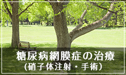 糖尿病網膜症の治療(硝子体注射・手術)